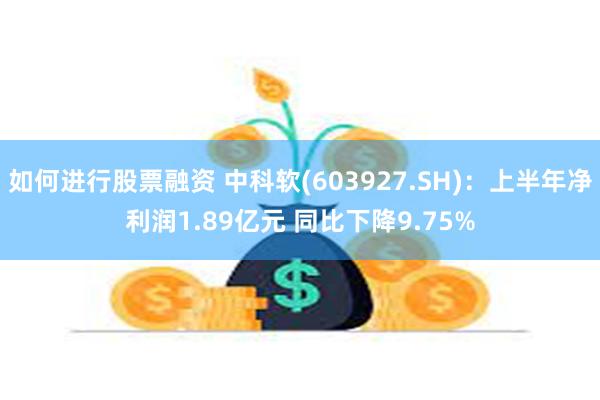 如何进行股票融资 中科软(603927.SH)：上半年净利润1.89亿元 同比下降9.75%