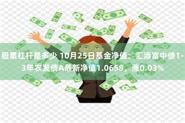 股票杠杆是多少 10月25日基金净值：汇添富中债1-3年农发债A最新净值1.0658，涨0.03%