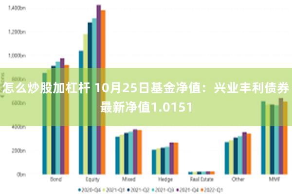 怎么炒股加杠杆 10月25日基金净值：兴业丰利债券最新净值1.0151