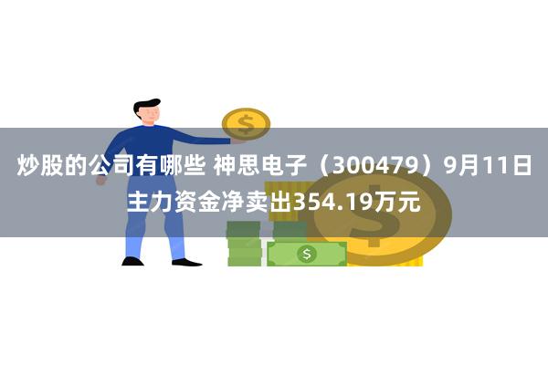 炒股的公司有哪些 神思电子（300479）9月11日主力资金净卖出354.19万元