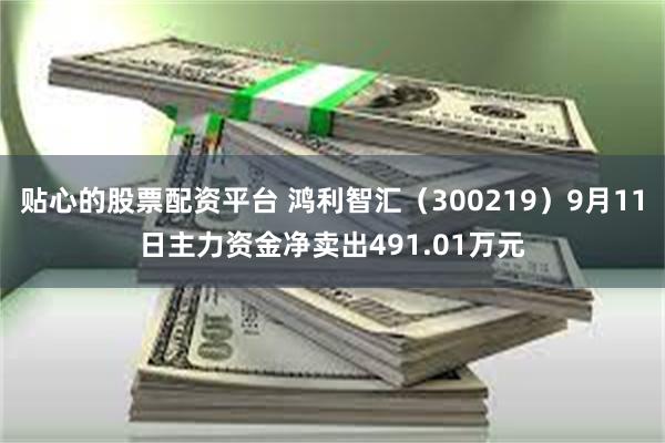 贴心的股票配资平台 鸿利智汇（300219）9月11日主力资金净卖出491.01万元