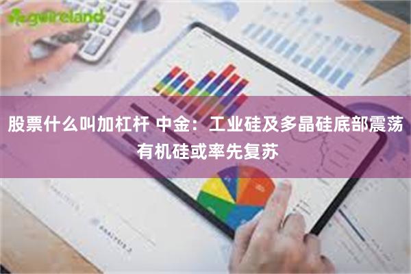 股票什么叫加杠杆 中金：工业硅及多晶硅底部震荡 有机硅或率先复苏