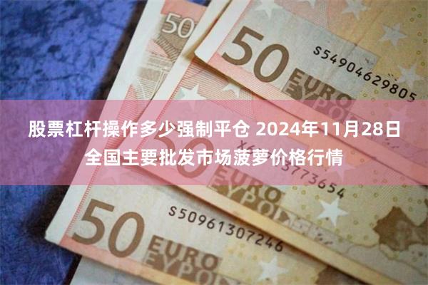 股票杠杆操作多少强制平仓 2024年11月28日全国主要批发市场菠萝价格行情