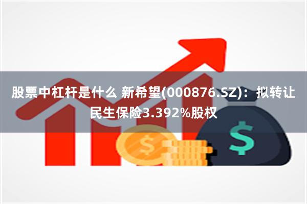 股票中杠杆是什么 新希望(000876.SZ)：拟转让民生保险3.392%股权