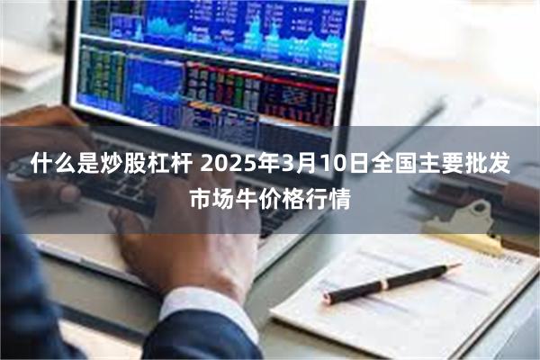 什么是炒股杠杆 2025年3月10日全国主要批发市场牛价格行情