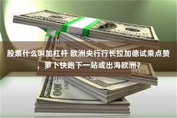 股票什么叫加杠杆 欧洲央行行长拉加德试乘点赞，萝卜快跑下一站或出海欧洲？