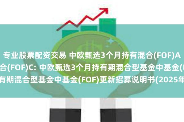 专业股票配资交易 中欧甄选3个月持有混合(FOF)A,中欧甄选3个月持有混合(FOF)C: 中欧甄选3个月持有期混合型基金中基金(FOF)更新招募说明书(2025年7月)