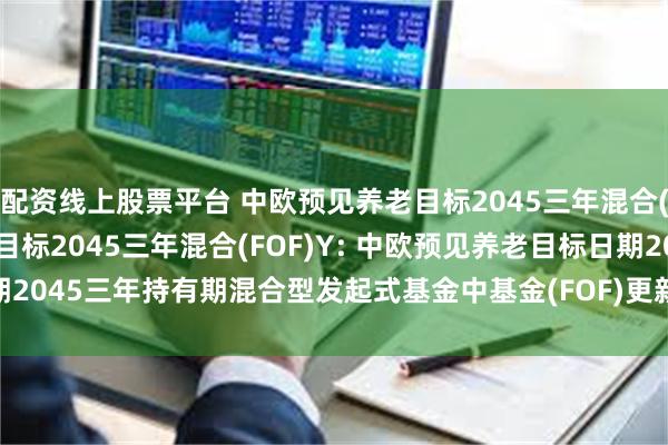 配资线上股票平台 中欧预见养老目标2045三年混合(FOF)A,中欧预见养老目标2045三年混合(FOF)Y: 中欧预见养老目标日期2045三年持有期混合型发起式基金中基金(FOF)更新招募说明书(2025年7月)