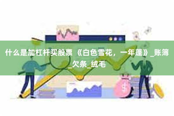 什么是加杠杆买股票 《白色雪花，一年蓬》_账簿_欠条_绒毛